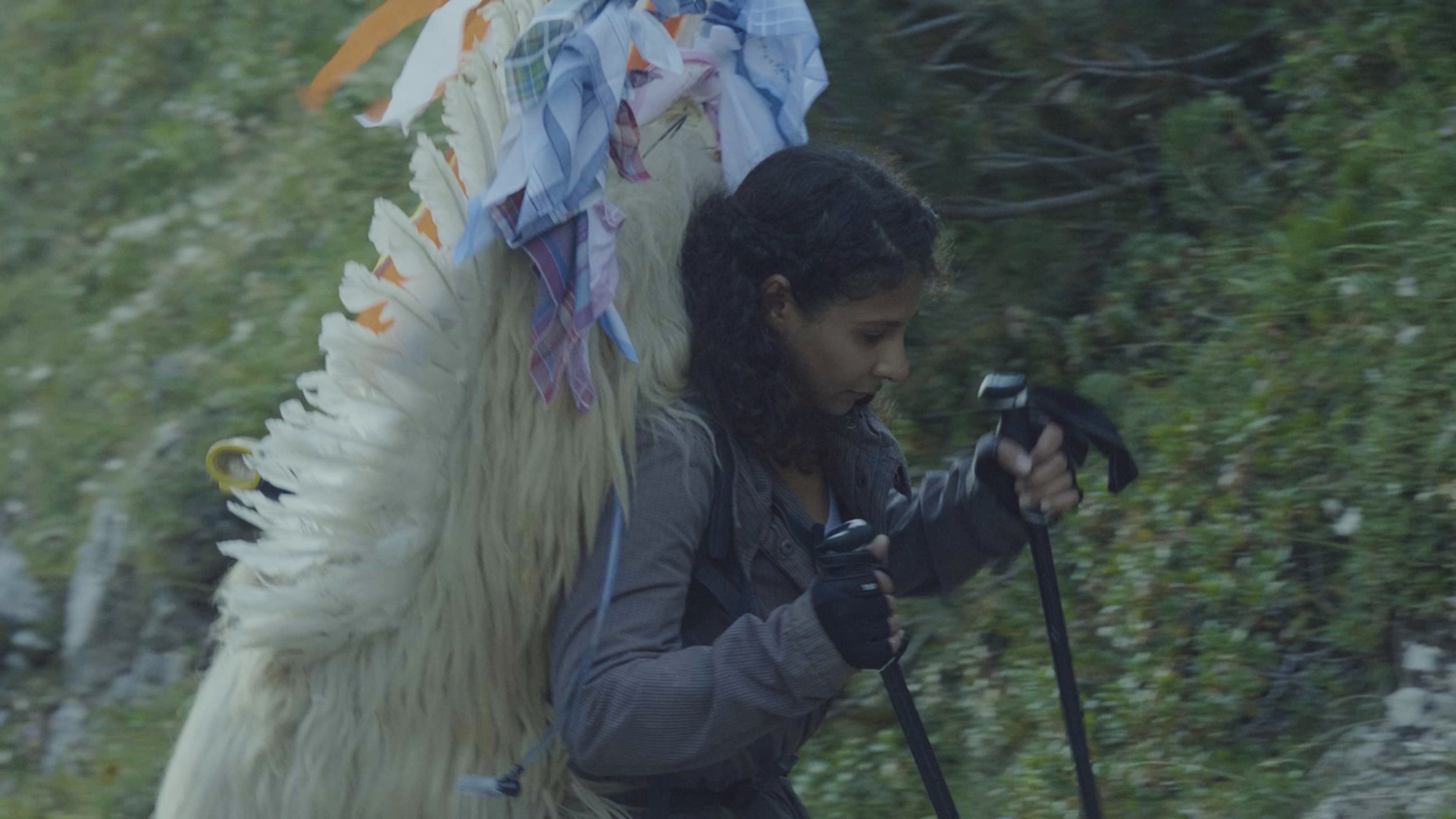 Image from the story